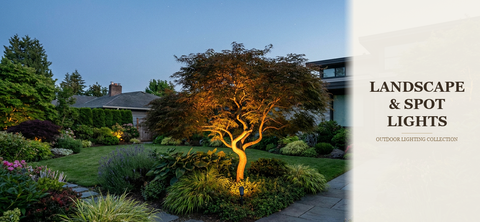 Landscape & Spot Lights