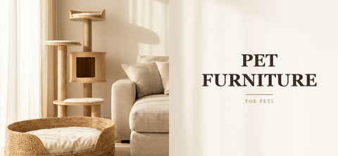 Pet Furniture
