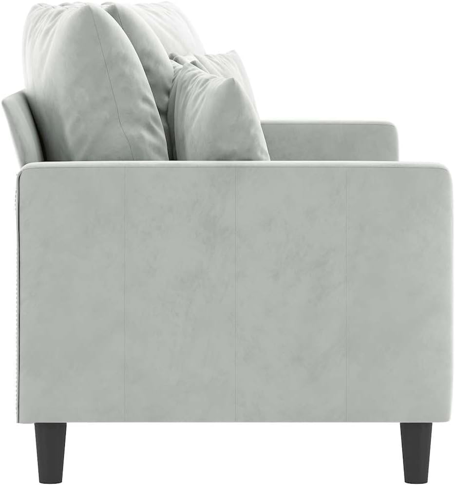 55.1 Inch Velvet 2-Seater Sofa Light Gray with Metal Frame, Small Loveseat , Modern Upholstered Couch with Thick