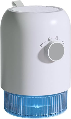 Dehumidifier for Home (300 Sq.Ft), Small Dehumidifiers with Auto Shut Off, Ideal for Closet Bedroom Bathroom RV T1