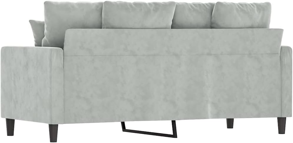 55.1 Inch Velvet 2-Seater Sofa Light Gray with Metal Frame, Small Loveseat , Modern Upholstered Couch with Thick