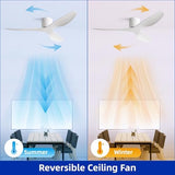 52" Low-Profile Modern Ceiling Fan with Remote – White Curved Blades, 3-Blade, DC Motor, No Light