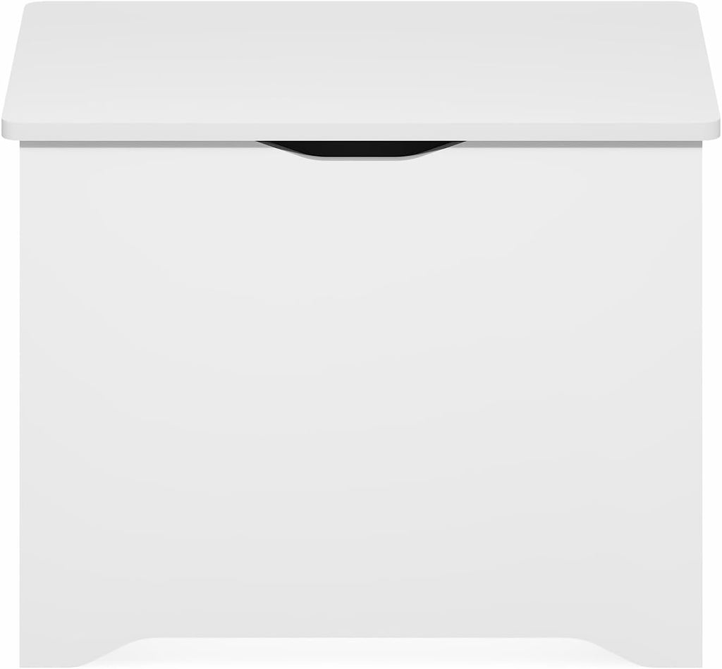 Basic Storage Chest, Storage Bench with Safety Hinged Soft Closed Lid, Storage Box, 15.6 x 23.6 x 18, White