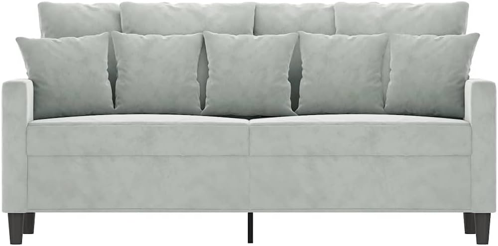 55.1 Inch Velvet 2-Seater Sofa Light Gray with Metal Frame, Small Loveseat , Modern Upholstered Couch with Thick