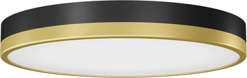Modern LED Flush Mount Ceiling Light with Glass Diffuser - Matte Black and Gold, Dimmable