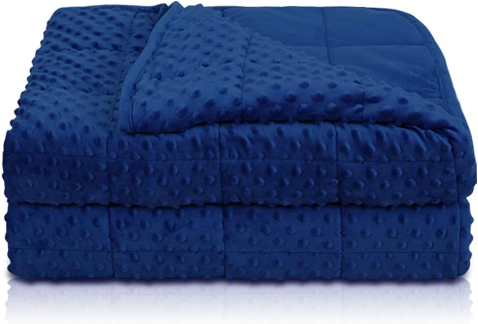 Minky Weighted Blanket Queen 15lbs for Adults(60"×80",Grey Breathable Super Soft for All Season,Heavy Blanket with