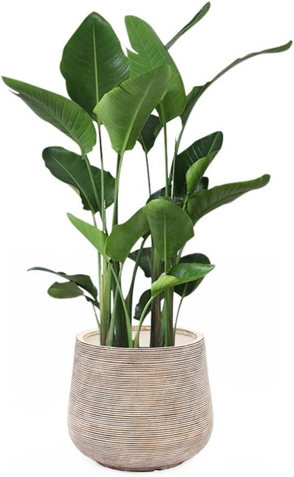 17" Round Planters for Indoor Plants, Distressed Large Plant Pot | Planter with Drainage Hole and Rubber