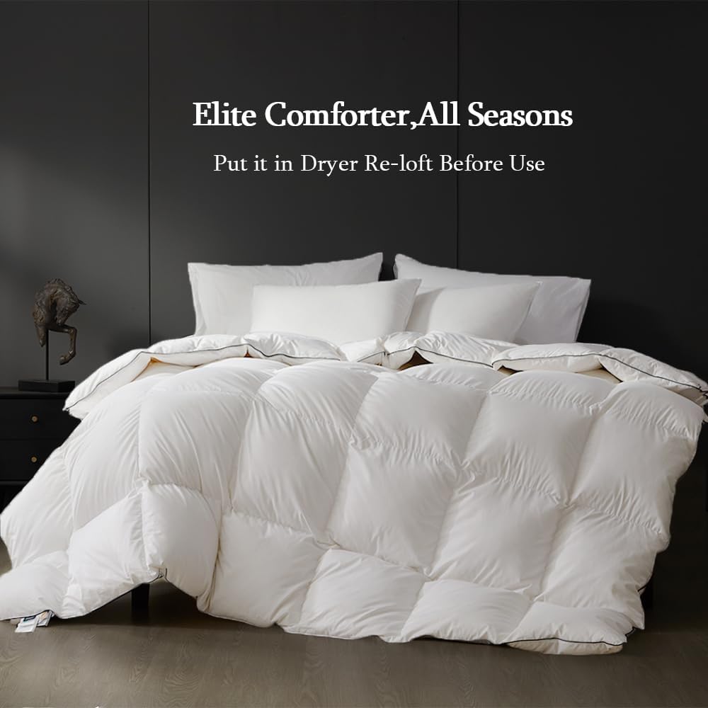 King Down Comforter,All-Season Duvet Insert with 8 Loops,Noiseless Luxury Comforter,White,106x90 inc