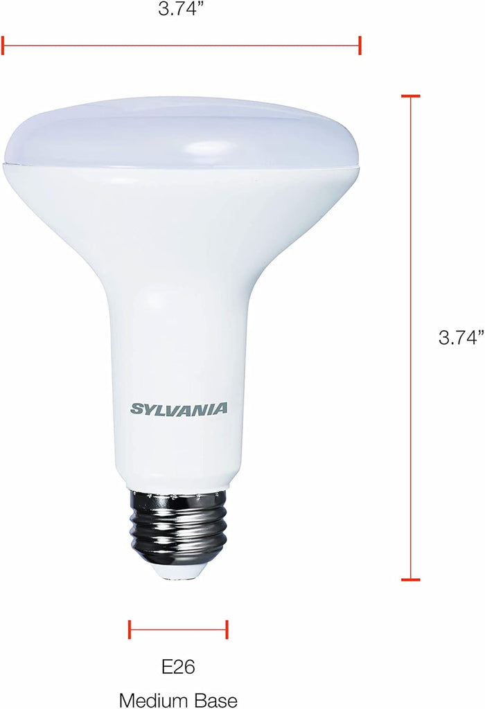 Night Chaser LED BR30 Light Bulb, 100W = 15.5W, Dimmable, 10 Year, Super Bright, 1450 Lumens, 5000K, Daylight - 1 (1 Pack)