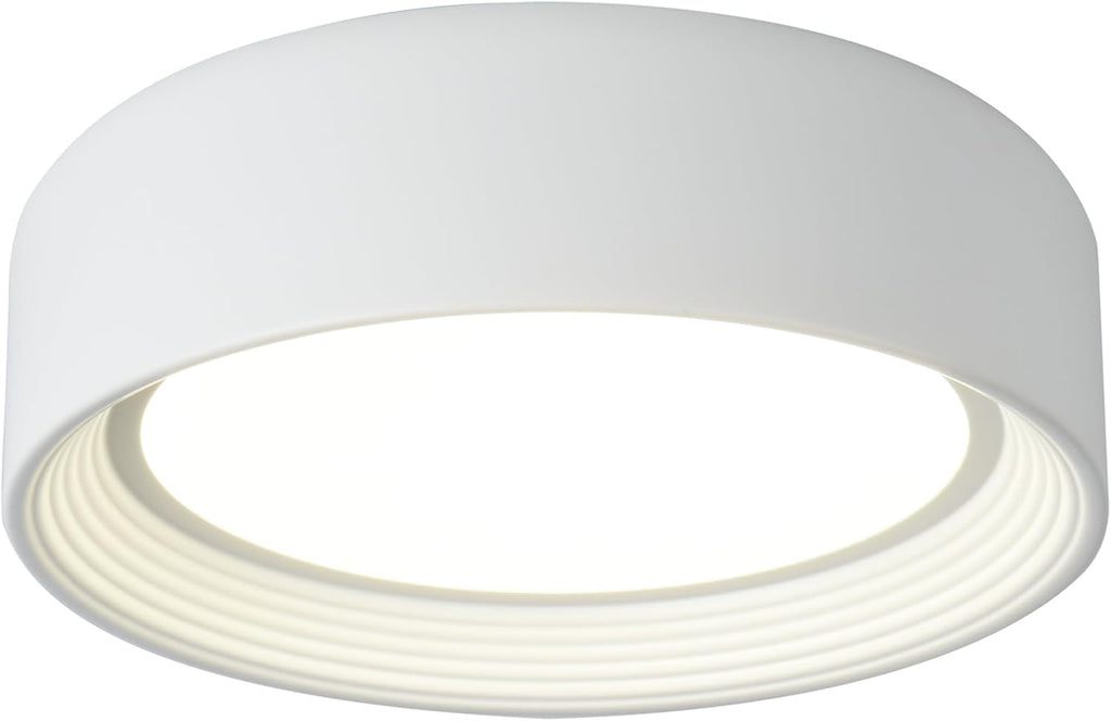 Dimmable White Flush Mount Ceiling Light,11.81 in LED 5CCT Fixture | 24W Matte Close to Ceiling,3000K-6500K Round