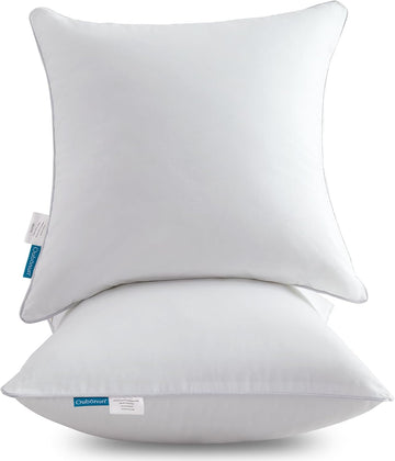 20 x 20 Throw Pillow Inserts () with 100% Cotton Cover - 20 Inch Square Interior Decorative Sofa Pillow - Set of 2