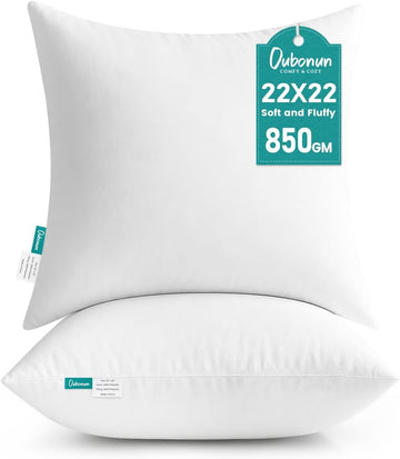 22 x 22 Throw Pillow Inserts - Set of 2