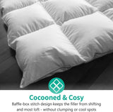 Lightweight All-Season Down Feather Fibers Comforter Queen/Full Duvet Insert for Hot Sleepers/Warm W