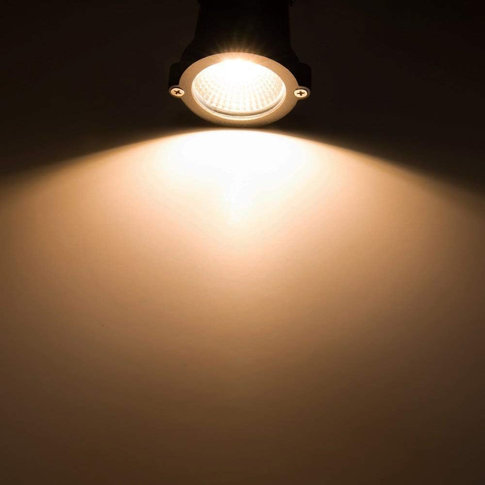 Low Voltage Landscape Lights LED Landscape Lighting, 5W 12V Garden Pathway Lights Waterproof Warm White Walls Trees
