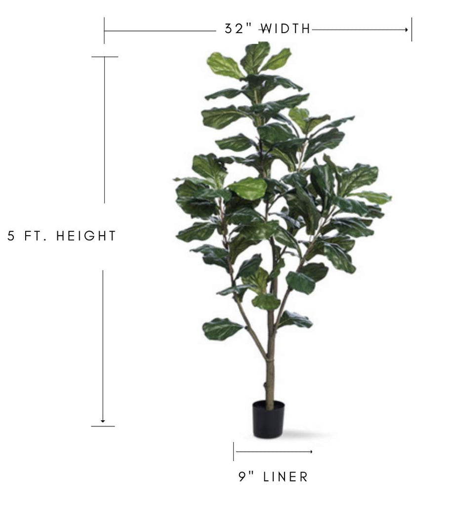 Single Trunk Fiddle Leaf Fig Silk Tree (5 Foot)