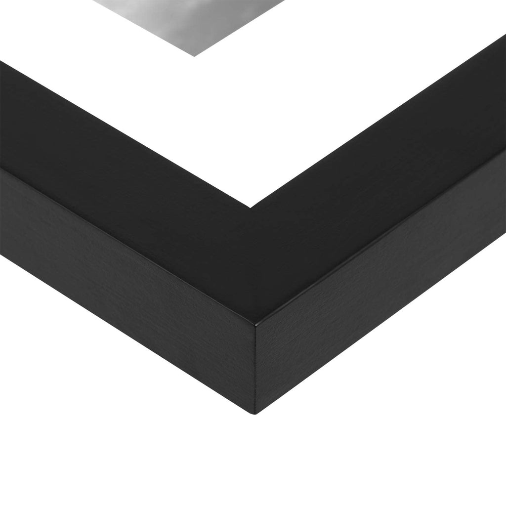 16x20 Floating Frame, Black Wood Double Glass Float Picture Frame