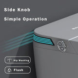 Luxury Intelligent Smart Toilet with Instant Warm Water Sprayer and Dryer, Auto Flush,Foot Sensor Operation