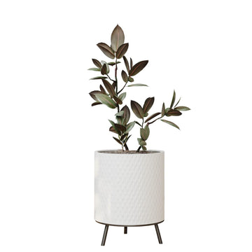 Claire Honeycomb Neutral Modern White Planter with Nyra Stand, Indoor Plant Pots, SelectBase, Mid-Century Modern