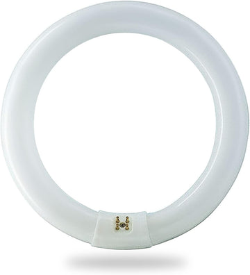 22 Watts 8 Inch Round T9 Fluorescent Circular Light Bulb, Daylight 6500K, FC8T9 980 Lumens G10Q 4-Pin Base
