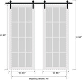 Modern Double Barn Door with 2 Lites/Sete 6222 / 13FT Rail Track Set/Solid Panel Interior Doors-72" 