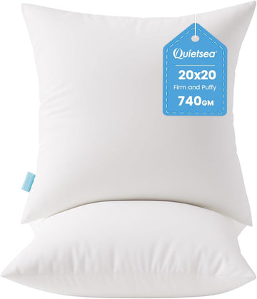 20x20 Pillow Inserts, 2 Pack Down Alternative Throw Pillow Inserts - Set of 2