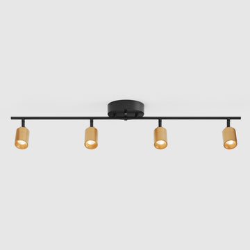 Shura Black & Brass 4-Light Track Light with Adjustable Heads, Integrated LED Bulbs, 3 ft. Track Lighting Kit Ceiling