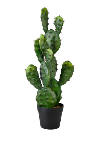 Artificial Prickly Pear Cactus in Plastic Black Pot, Lifelike Potted Bunny Ear Cactus for Balcony, Living Room