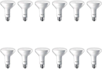 Flicker-Free Frosted BR30 Light Bulb - EyeComfort Technology - 650 Lumen - Daylight (5000K) - 9W=65W - E26 Base