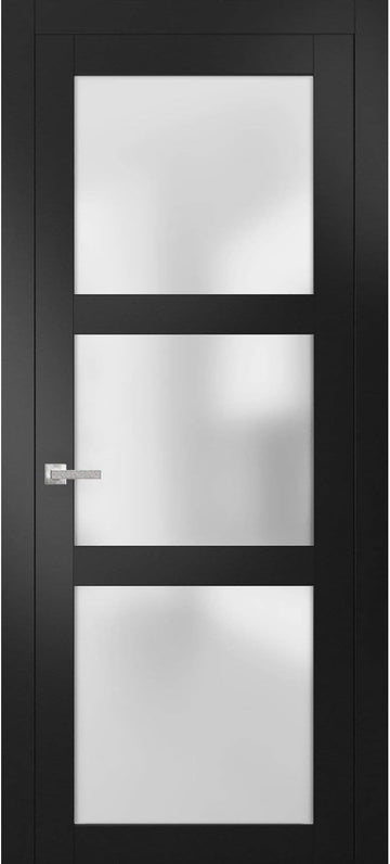 Solid French Door Frosted Glass 32 x 80 inches | Lucia 2552 Matte Black | Single Regular Panel Frame