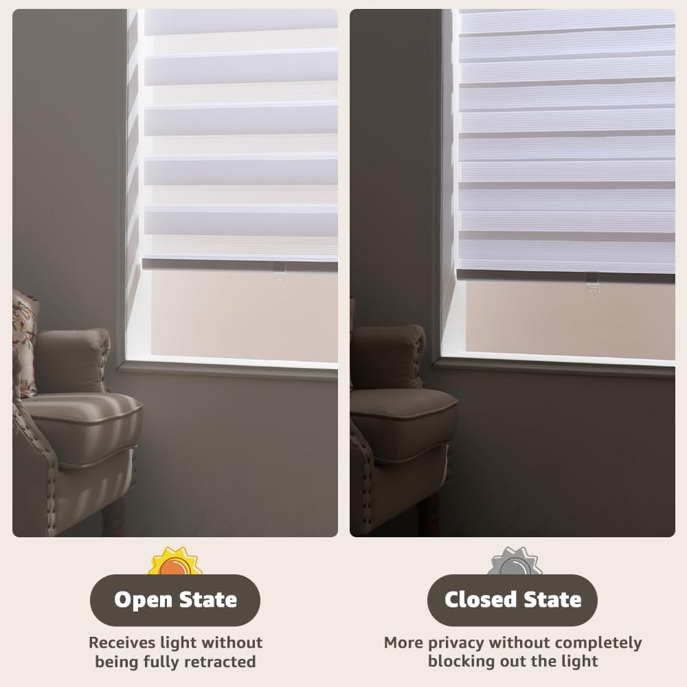 Cordless Zebra Blinds for Window & French Door, Free-Stop Roller Window Shades with Valance, 23" W x 90" H, Light