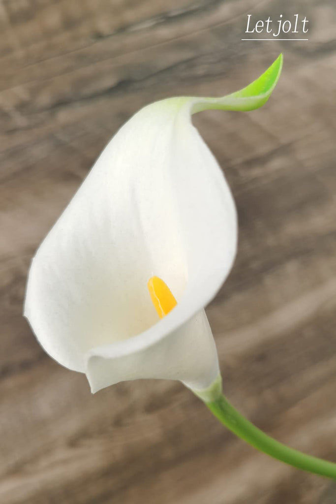 Artificial Calla Lily Flowers, Yellow White, 20Pcs