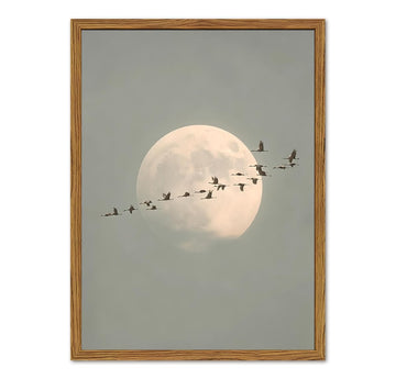Framed Vintage Bird Wall Art, Minimalist Moon Flying Birds Pictures Wall Decor, Japandi Nature Landscape Paintings