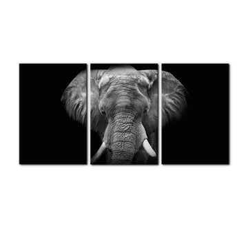 3 Pieces Wall Art Elephant Canvas Wall Decor Black and White Animal Pictures Painting Prints Modern Framed Artwork