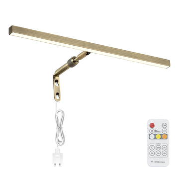 LED Picture Lights for Paintings Plug in, 16 Inch 4W Adjustable Art Light Gallery Wall Light for Display Art Work