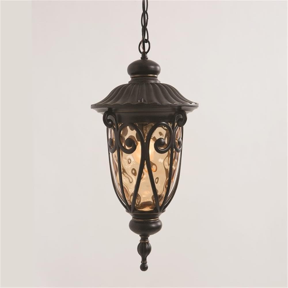 Nine-Inch Incandescent Hanging, 1-Light Exterior Light
