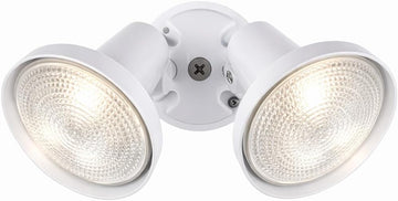 2-Light PAR38 Outdoor Flood Light, White, Landscape Lighting
