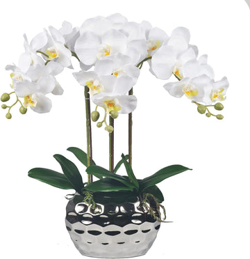 Artificial Orchid Plants & Flowers Arrangement in Ceramic Pot, Fake Faux White Orchid with Silver Vase, Faux Orchids