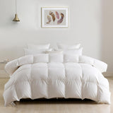 Luxury Oversized Queen Down Feather Fibers Comforter, Soft Cotton Blend Cover, High Fill Power Mediu