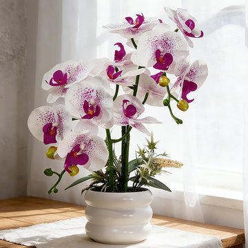 Artificial Orchids Flowers with Vase for Table Centerpieces, Real Touch Faux White Orchid Phalaenopsis in Ceramic