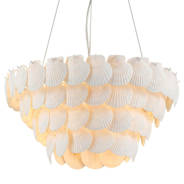 Dia 22.5 inche, 7-Light Natural Shell Chandelier for Foyer, Coastal Dining Room Light, Large Pendant Chandelier