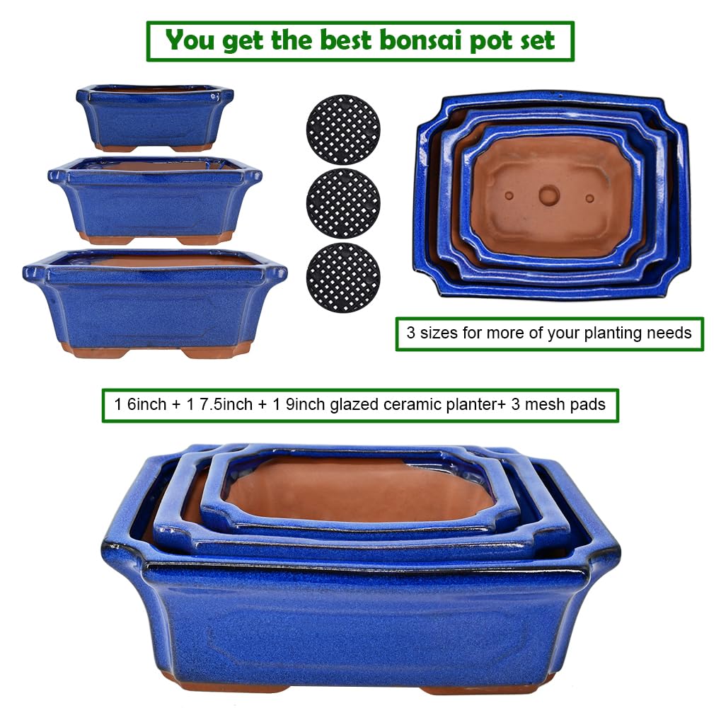 3 Pack Ceramic Rectangular Bonsai Tree Planter Pot Set 6"+7"+9", Cactus Succulent Planter Blue Glazed with Mesh Hole