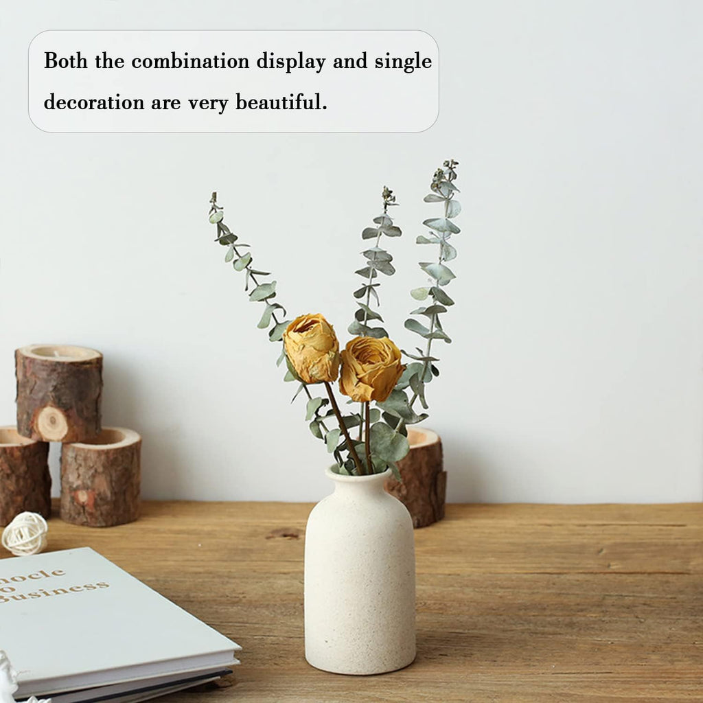 Beige Ceramic vase Set-3 Small Flower vases