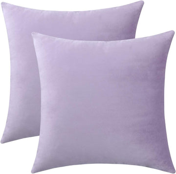 Comfy Soft Thick Velvet Throw Pillow Cases, Decorative Solid Square Cushion Covers, 18 x 18 Inches, 2 Pieces)