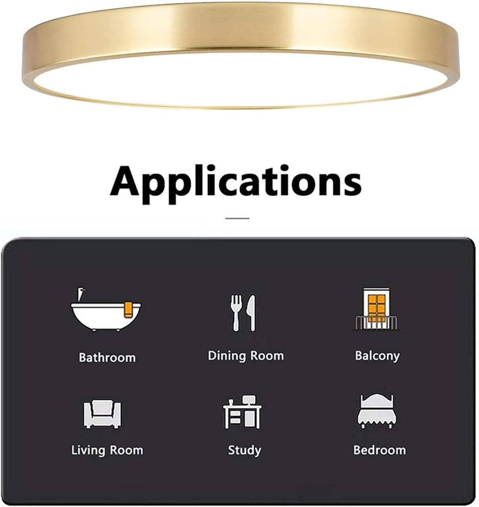 2 Pack 12 Inch Brushed Gold Metal Flush Mount LED Ceiling Light,3000K-5000K 20W Thin Round Ceiling Lamp,Modern Low