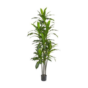 6FT Dracaena Artificial Plant - Large Tropical Indoor Fake Tree with Lifelike Leaves - Tall Faux Floor Plant in Pot
