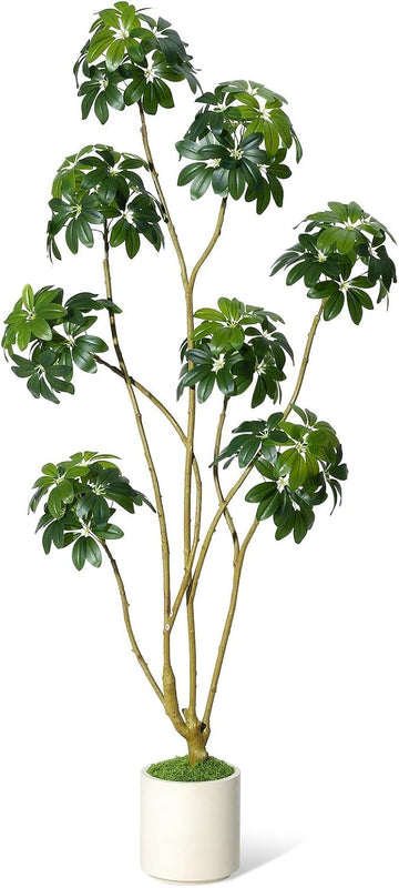 Umbrella Tree Plant, 6 ft Tall Faux Schefflera Tree