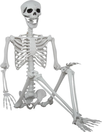5.9ft Halloween Life Size Skeleton Realistic Full Body Skeletons Plastic Human Bones with Movable Joints