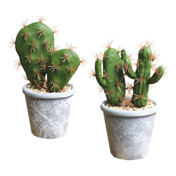 Fcooler Artificial Succulent Plants Faux Cactus Decorative Potted Fake Cacti with Pots Rock Sand Included Artificial