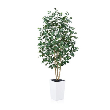 6ft Artificial Ficus Tree, UV Resistant Tall Faux Tree