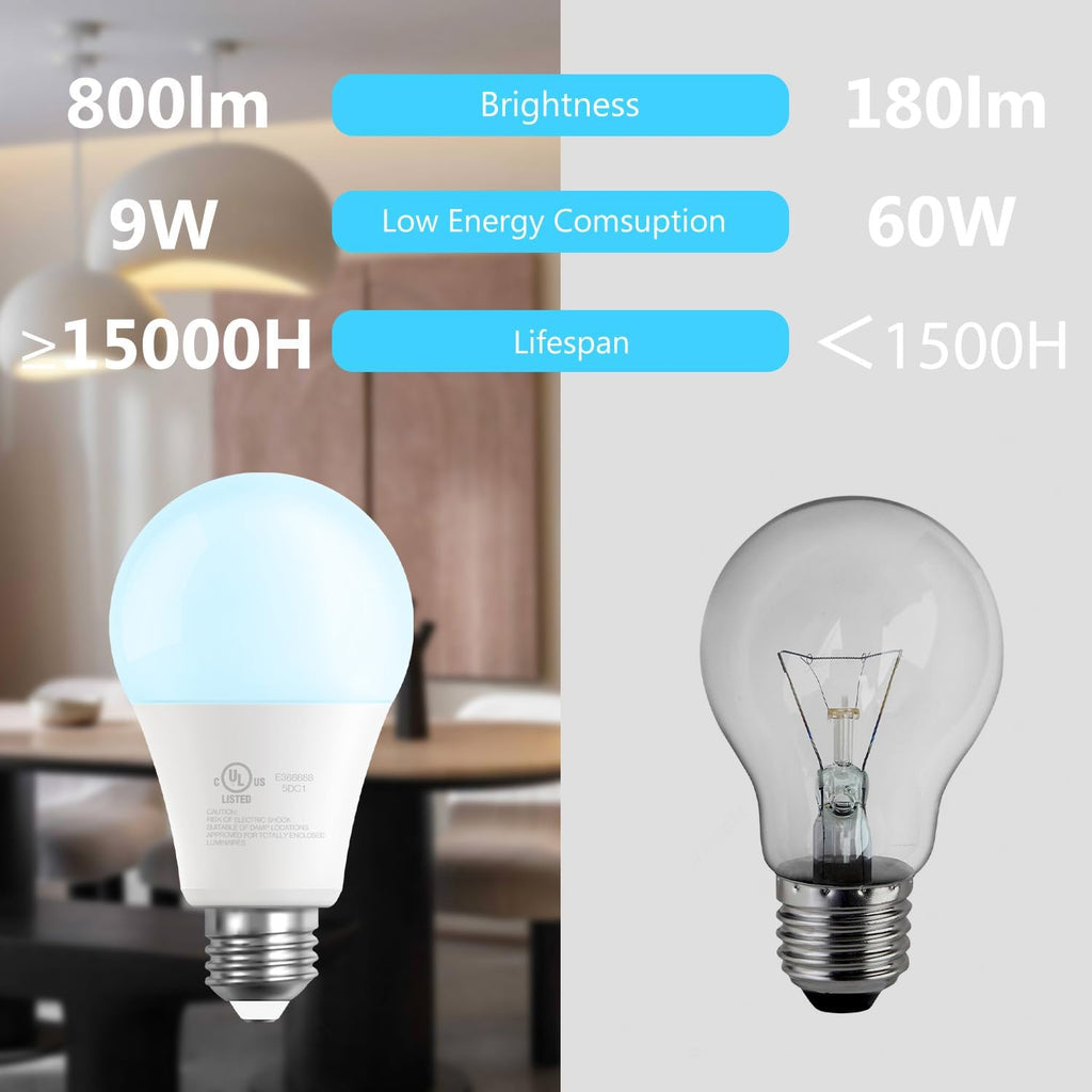 A19 LED Light Bulbs, 60 Watt Equivalent LED Bulbs, Long Lifespan High Brightness 800LM Daylight White 5000K, E26